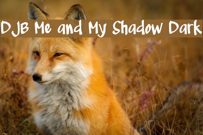 DJB Me and My Shadow Dark Font examples