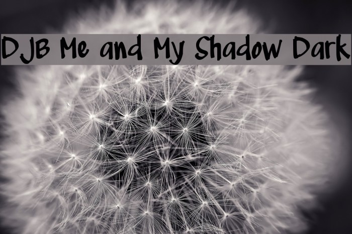 DJB Me and My Shadow Dark Font examples