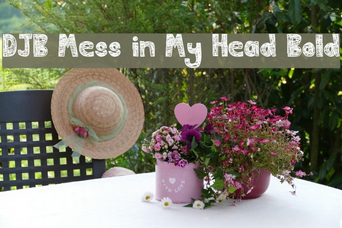 DJB Mess in My Head Bold Font examples