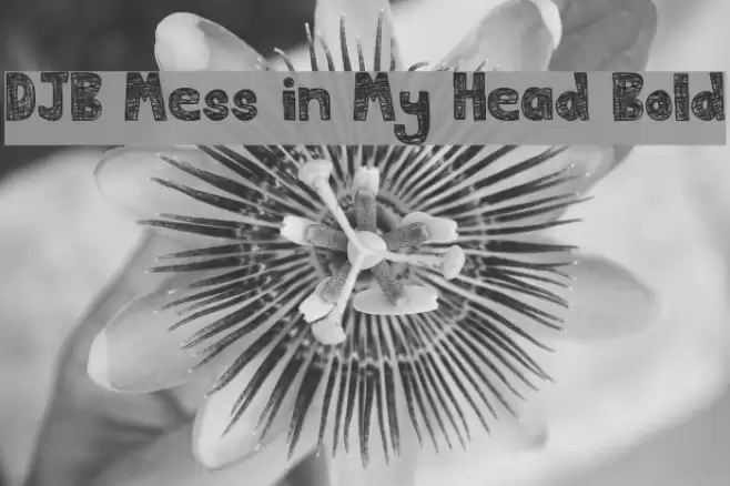 DJB Mess in My Head Bold Font examples