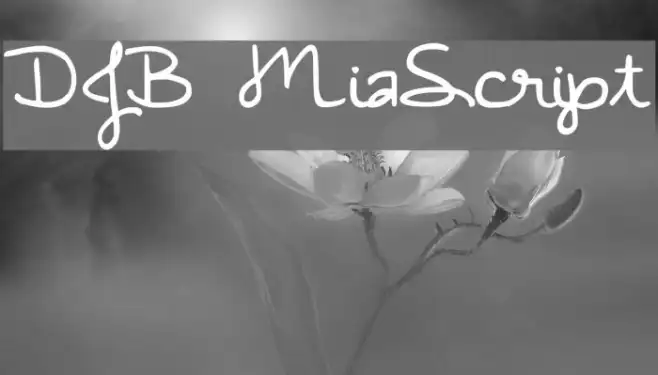 DJB MiaScript Example 3