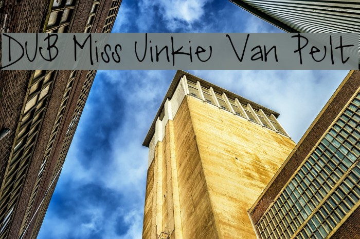 DJB Miss Jinkie Van Pelt Font examples