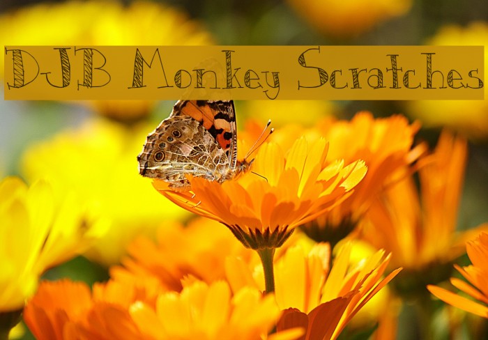 DJB Monkey Scratches Font examples