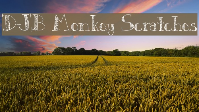DJB Monkey Scratches Font examples