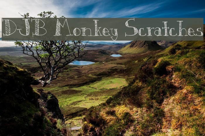 DJB Monkey Scratches Font examples