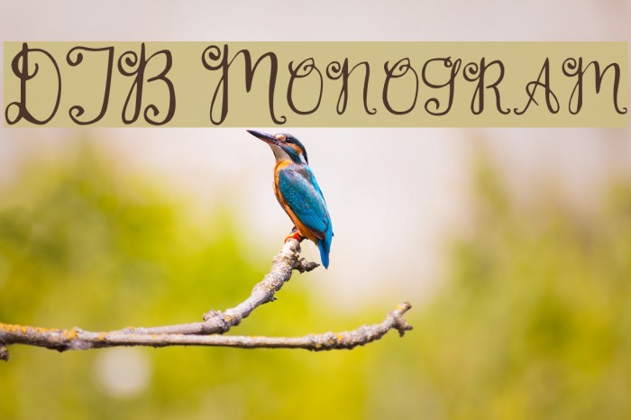 DJB Monogram Font examples