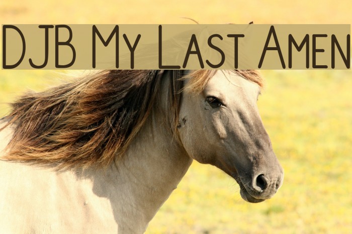 DJB My Last Amen Font examples