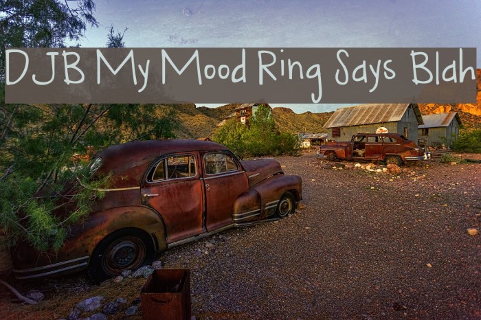 DJB My Mood Ring Says Blah Font examples