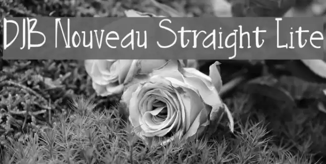 DJB Nouveau Straight Lite Font examples