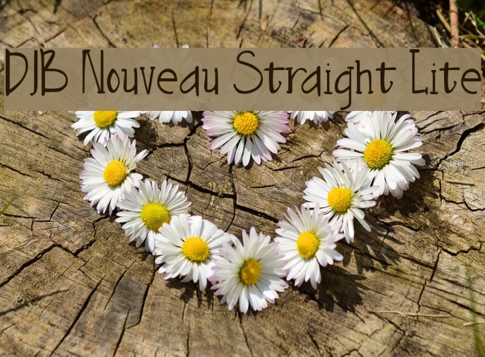 DJB Nouveau Straight Lite फ़ॉन्ट examples