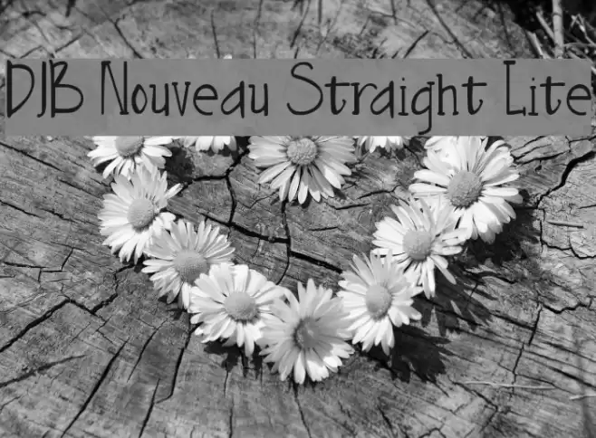 DJB Nouveau Straight Lite Font examples