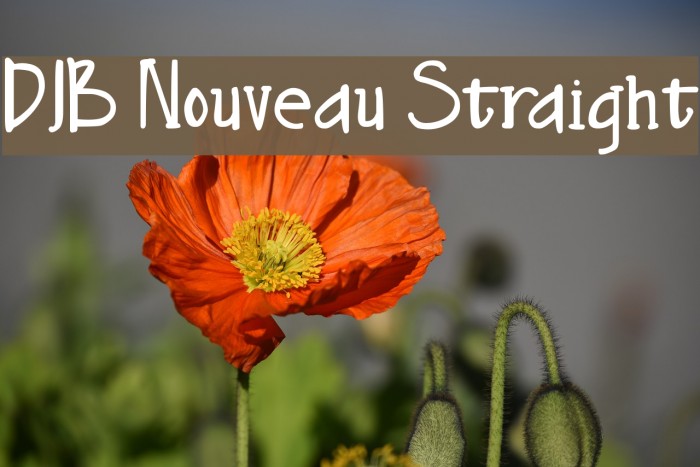 DJB Nouveau Straight Font examples