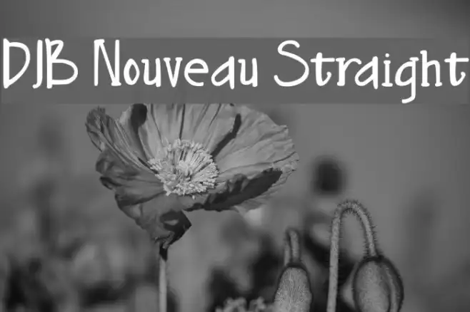 DJB Nouveau Straight Example 2