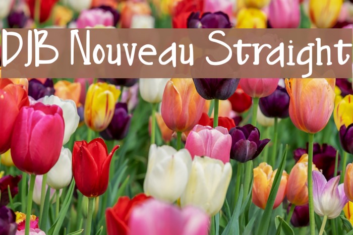DJB Nouveau Straight Font examples