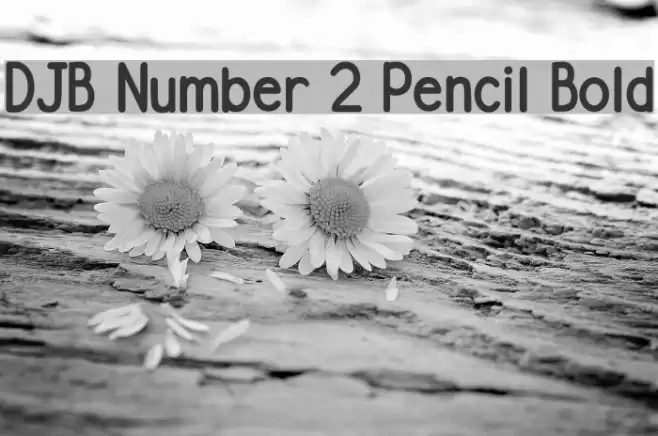 DJB Number 2 Pencil Bold Font examples