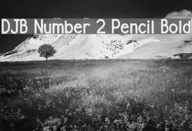DJB Number 2 Pencil Bold Font examples