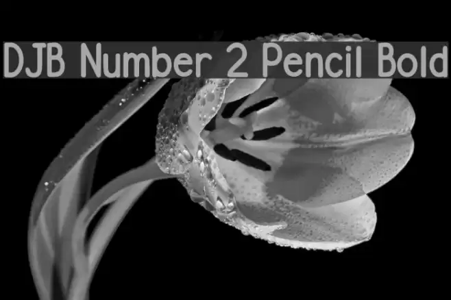 DJB Number 2 Pencil Bold Font examples