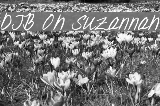 DJB Oh Suzannah Font examples