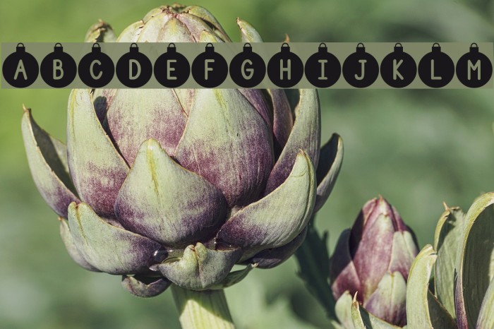 DJB Ornamental Font examples