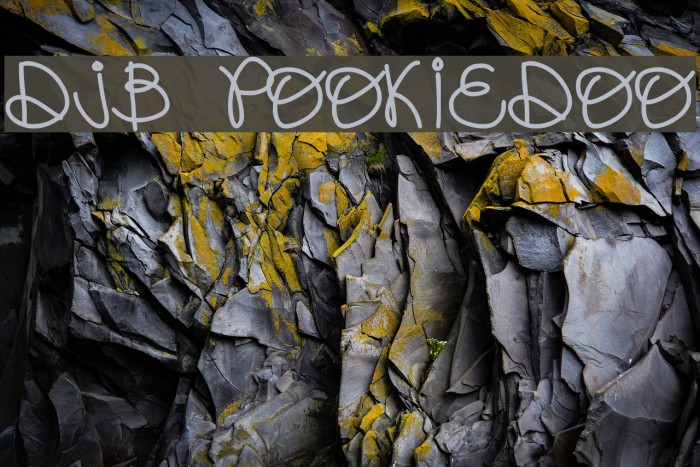 DJB POOKIEDOO Example 1