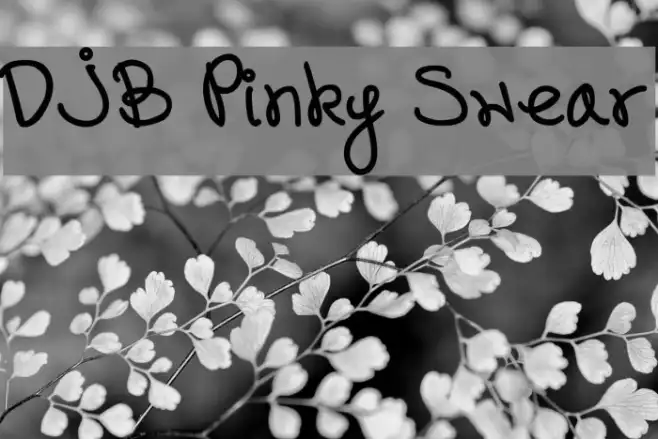 DJB Pinky Swear Example 2