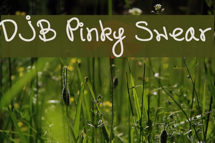DJB Pinky Swear Font examples