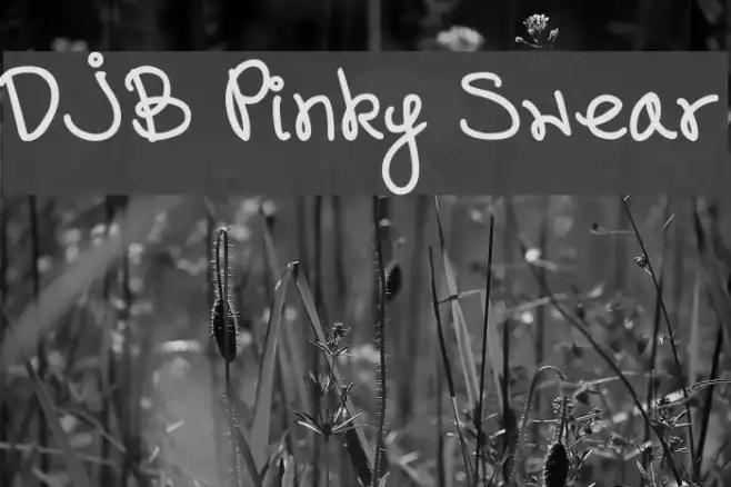 DJB Pinky Swear Example 3