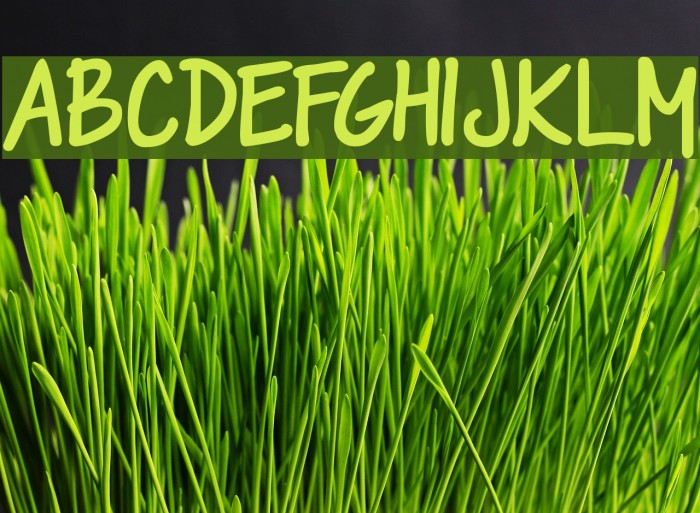 DJB Please Explain Font examples