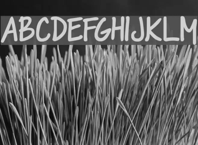 DJB Please Explain Font examples