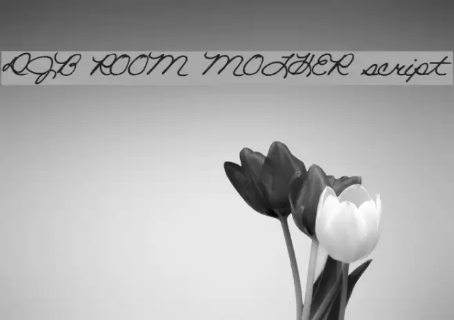 DJB ROOM MOTHER script Font examples