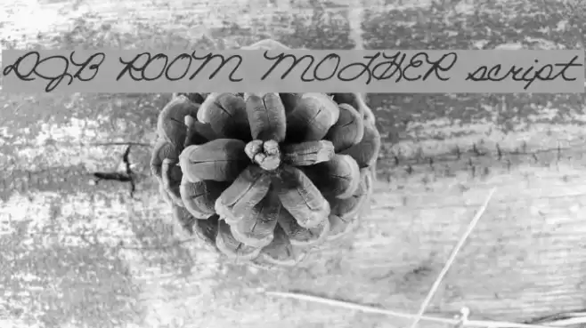 DJB ROOM MOTHER script Font examples