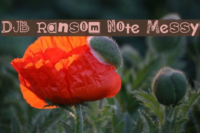 DJB Ransom Note Messy Font examples
