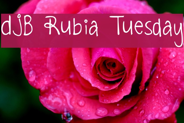 DJB Rubia Tuesday Font examples
