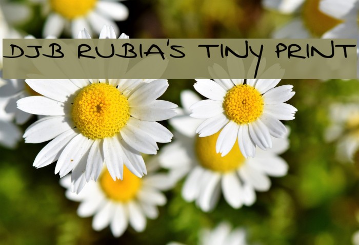 DJB Rubia's Tiny Print Example 1