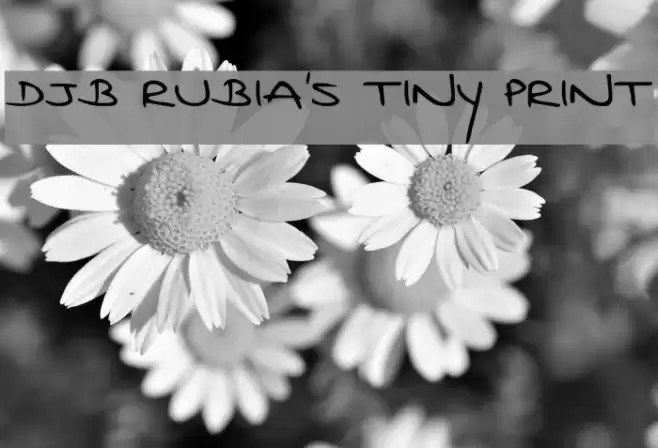 DJB Rubia's Tiny Print Font examples