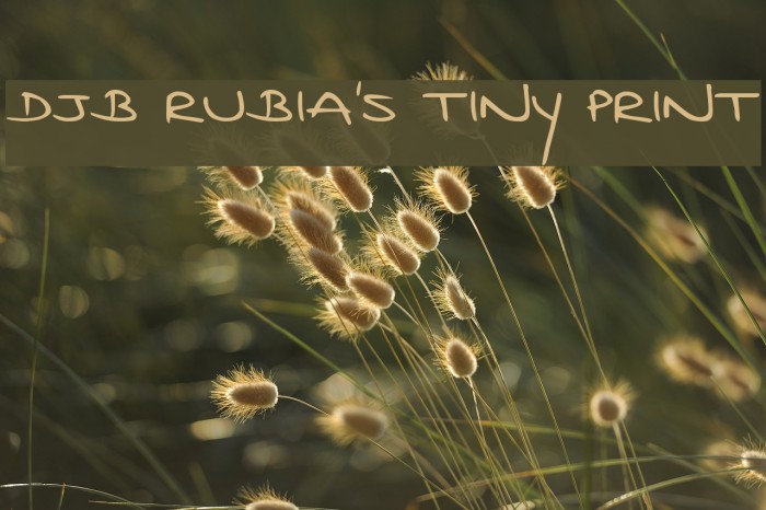 DJB Rubia's Tiny Print Example 2