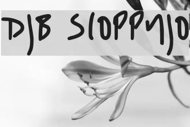 DJB SLOPPYJO Font examples