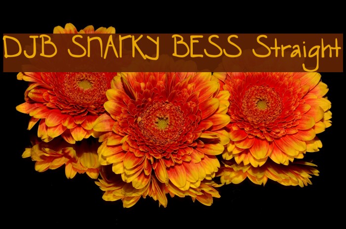 DJB SNARKY BESS Straight Font examples