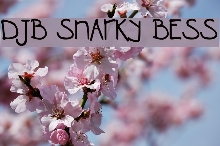 DJB SNARKY BESS Font examples