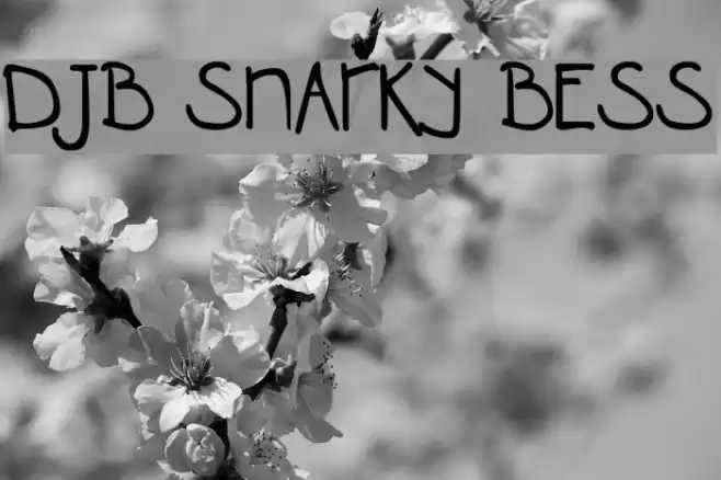 DJB SNARKY BESS  examples