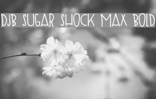 DJB SUGAR SHOCK MAX Bold Font examples