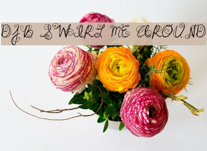 DJB SWIRL ME AROUND Font examples