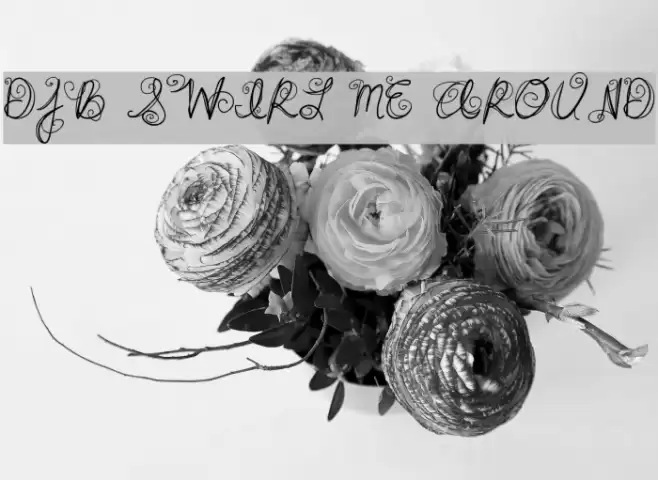 DJB SWIRL ME AROUND Font examples