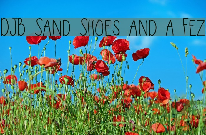 DJB Sand Shoes and a Fez Font examples