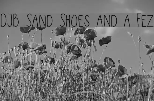DJB Sand Shoes and a Fez Font examples