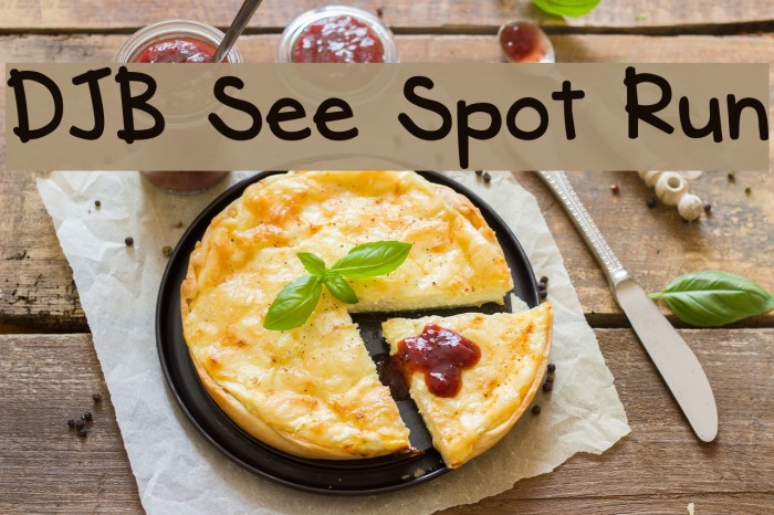 DJB See Spot Run Font examples