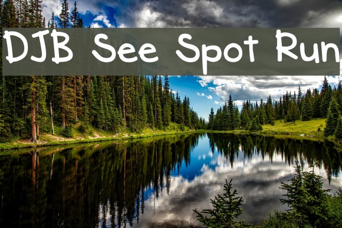 DJB See Spot Run Font examples