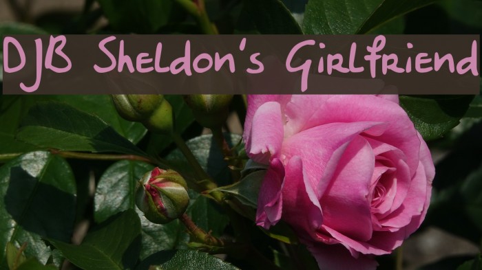 DJB Sheldon's Girlfriend Font examples