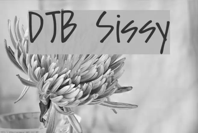 DJB Sissy Font examples