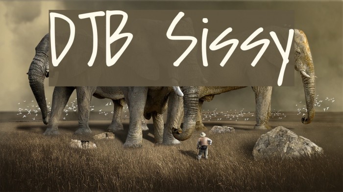 DJB Sissy Font examples